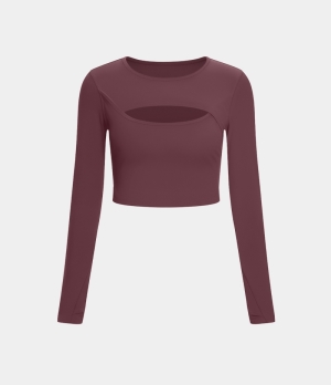 Halara Cloudful® Long Sleeve Thumb Hole Cut Out Cropped Dance Sports Women's Tops Andorra | QVBRETG-76