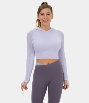 Halara Hooded Thumb Hole Contrast Mesh Cropped Yoga Sports Women's Tops Purple Heather | NSCHQLM-51