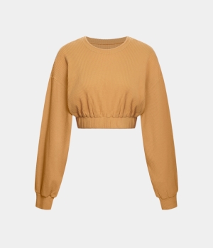 Halara Solid Dropped Shoulder Cropped Casual Sports Sweatshirt Women's Tops Golden Apricot | UHTXQDN-80
